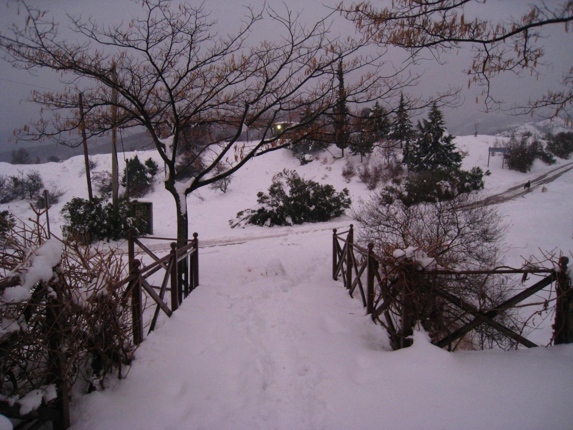 Evridiki Otel Vergina Dış mekan fotoğraf