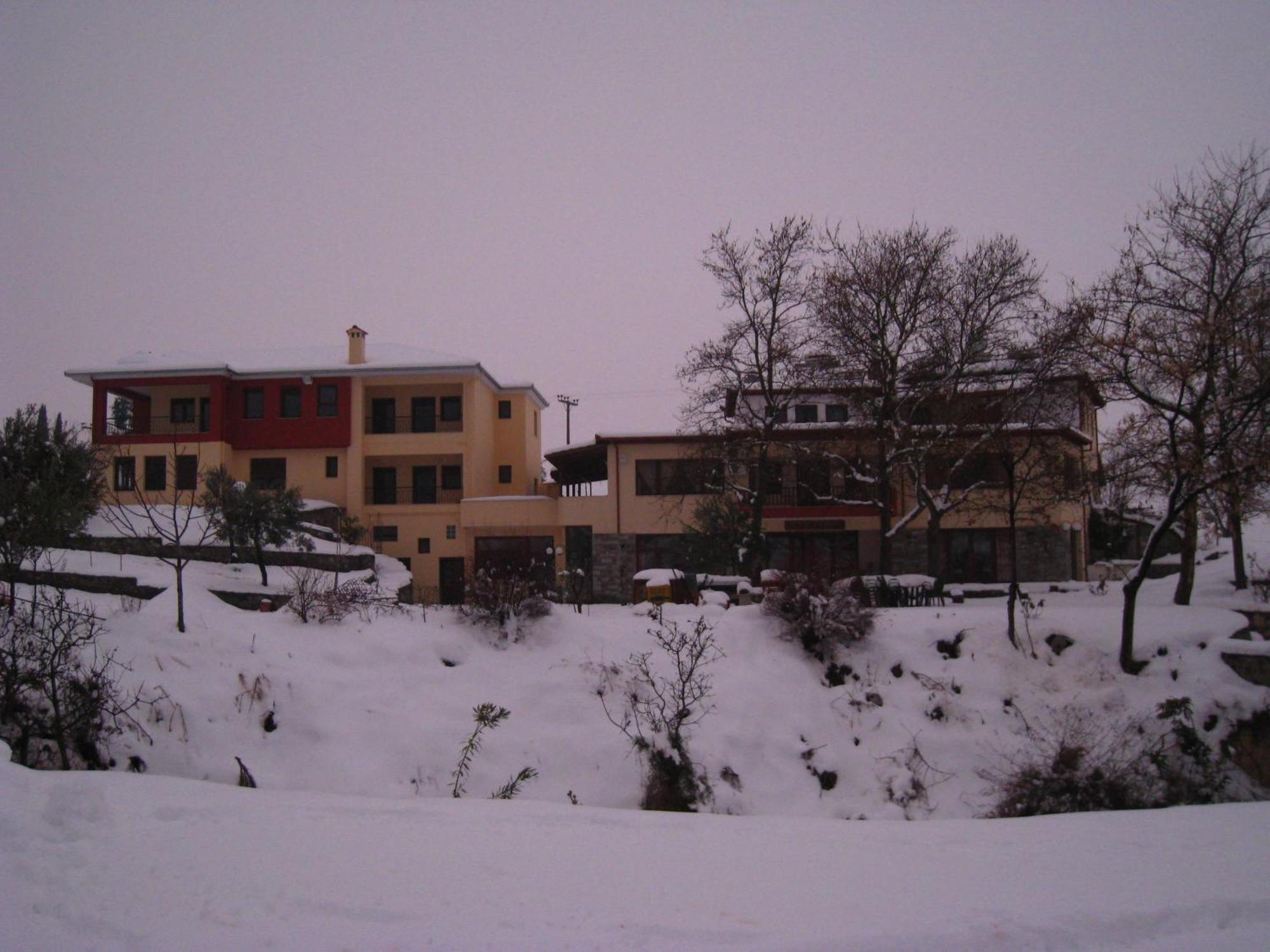 Evridiki Otel Vergina Dış mekan fotoğraf