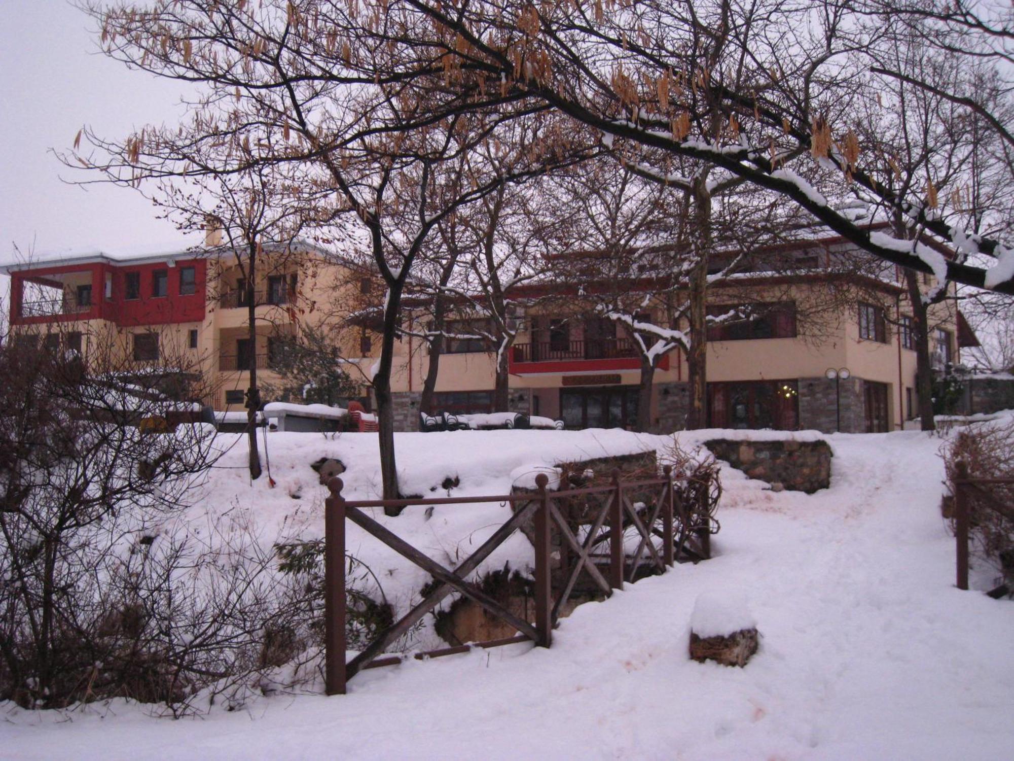 Evridiki Otel Vergina Dış mekan fotoğraf